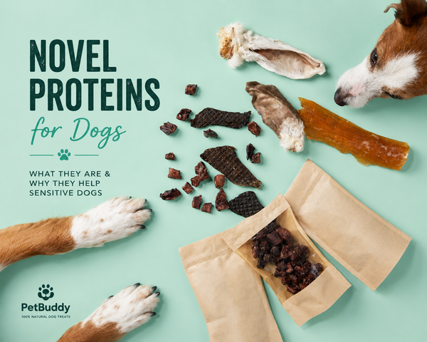 Novel Proteins For Dogs; What They Are & Why They Help Sensitive Dogs.