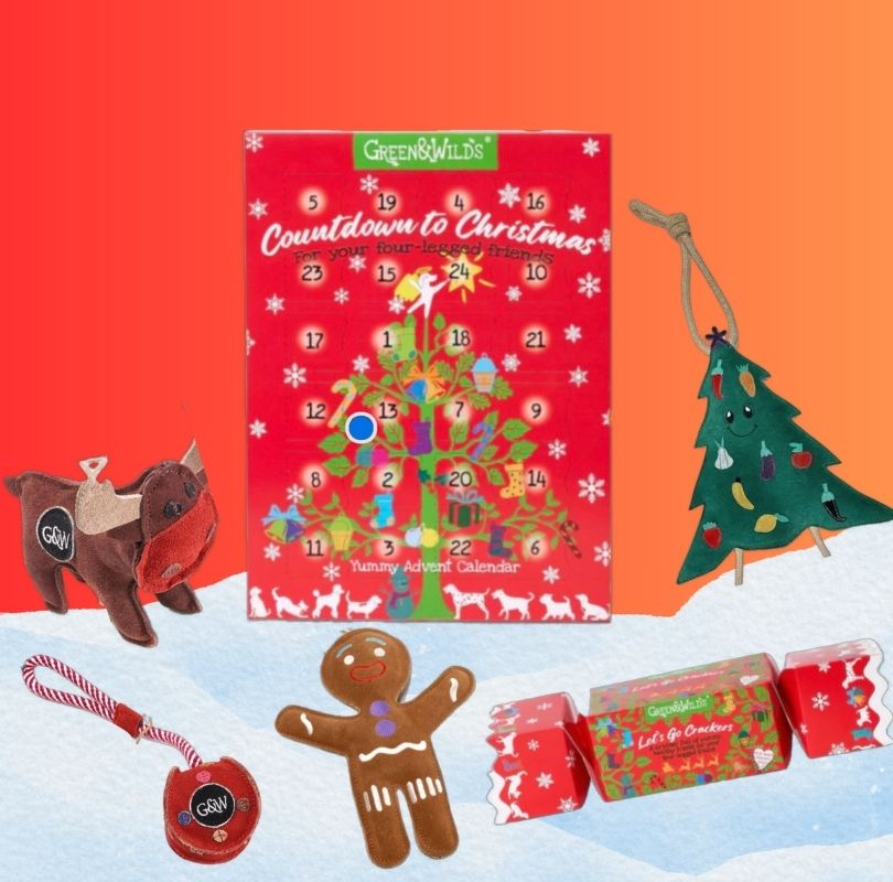 Dog Christmas Gifts 2025 | Natural Dog Treats & Strong Toys from PetBuddy