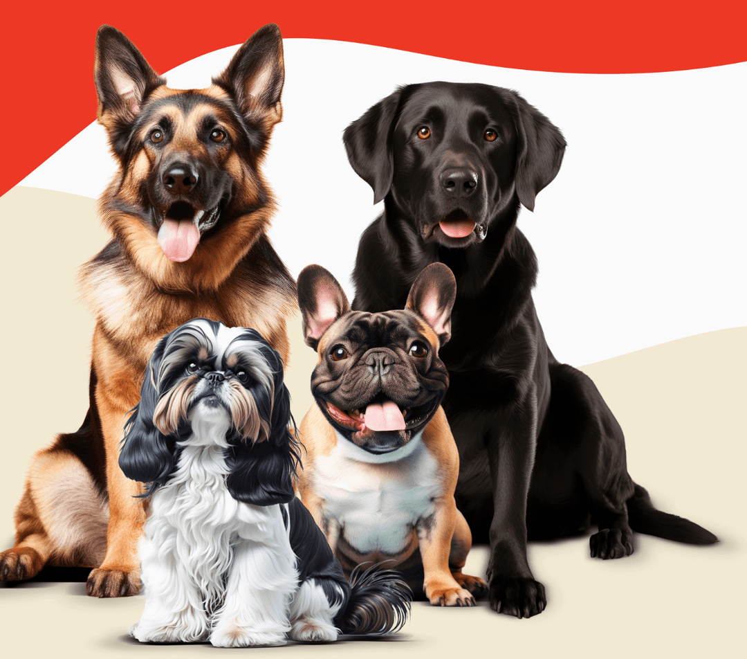 🐾 Why Researching Dog Breeds Matters Before Buying a Puppy.