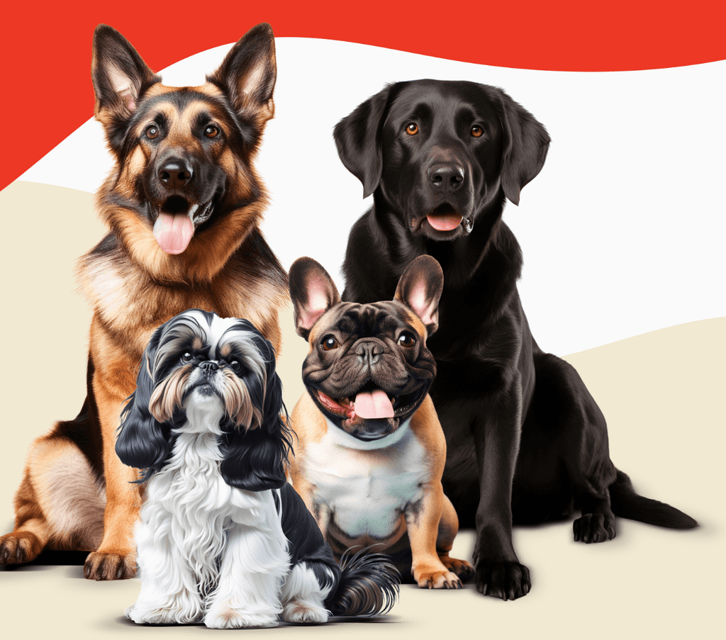 🐾 Why Researching Dog Breeds Matters Before Buying a Puppy.