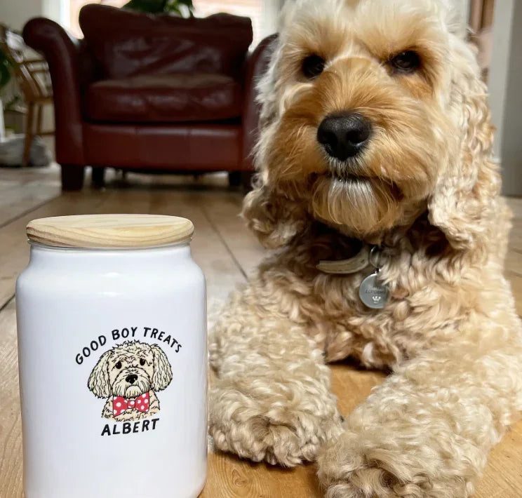 🦴 Running Low on Chews? Why You’ll Love Our Subscribe & Save Option