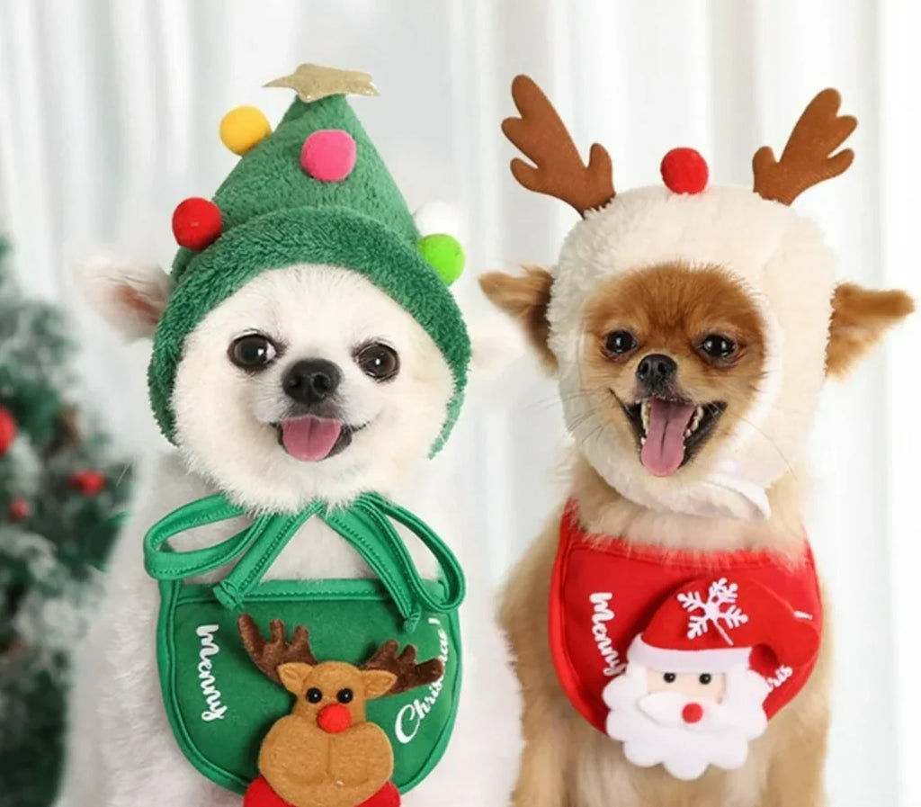 Healthy Christmas Treats for Dogs | Natural & Safe Festive Chews
