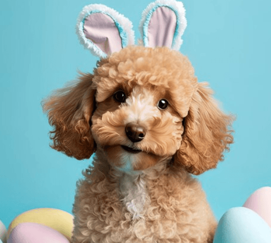 Easter treats your dog must not eat!