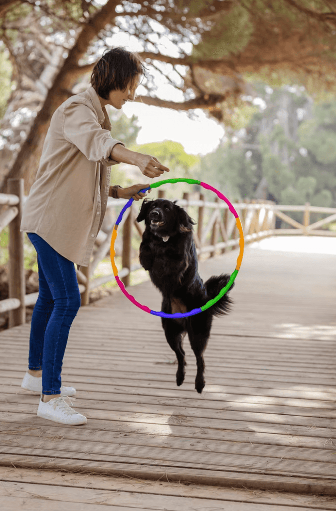 Using positive reinforcement to train your dog!