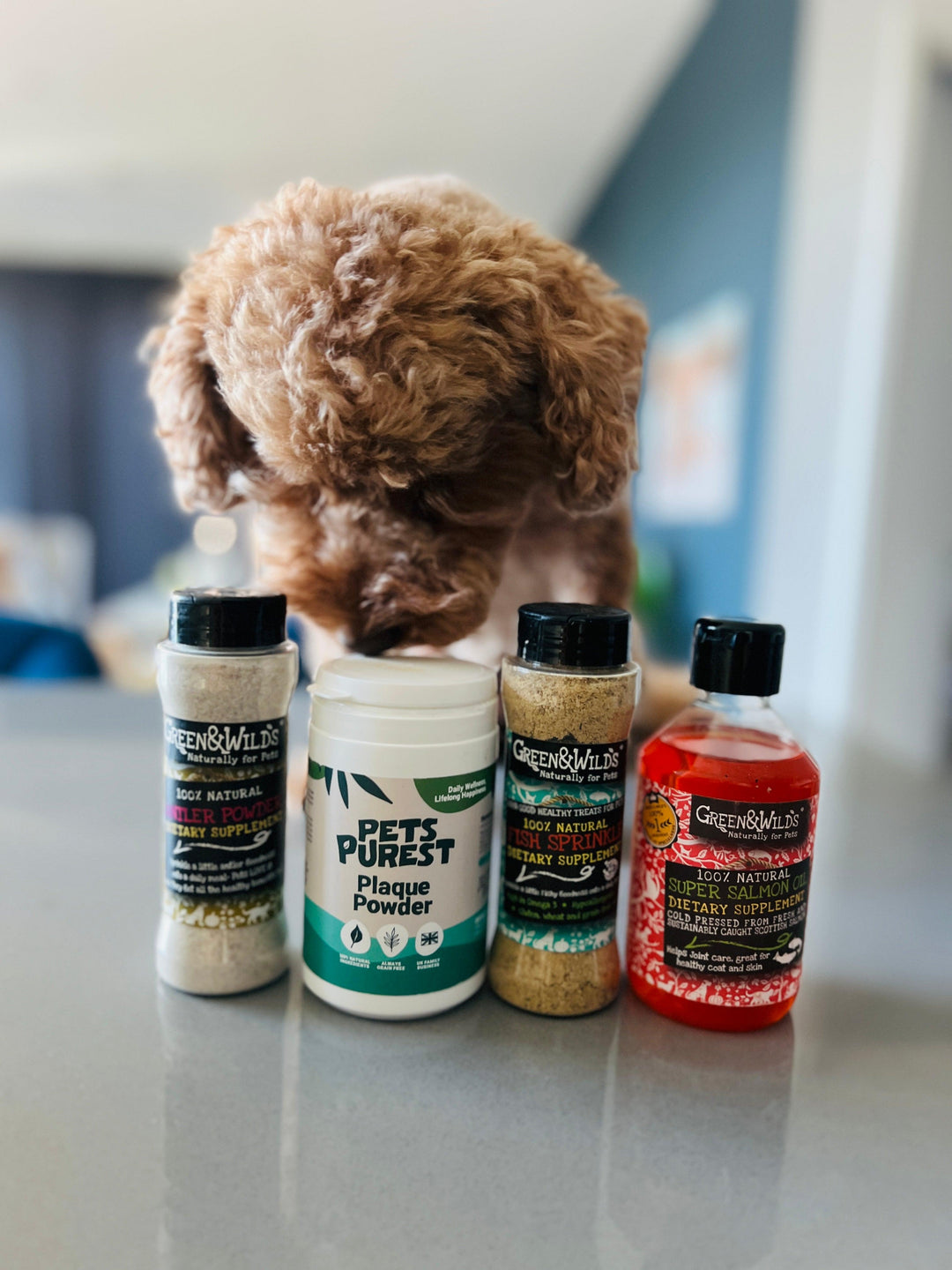 Healthy Supplements for dogs