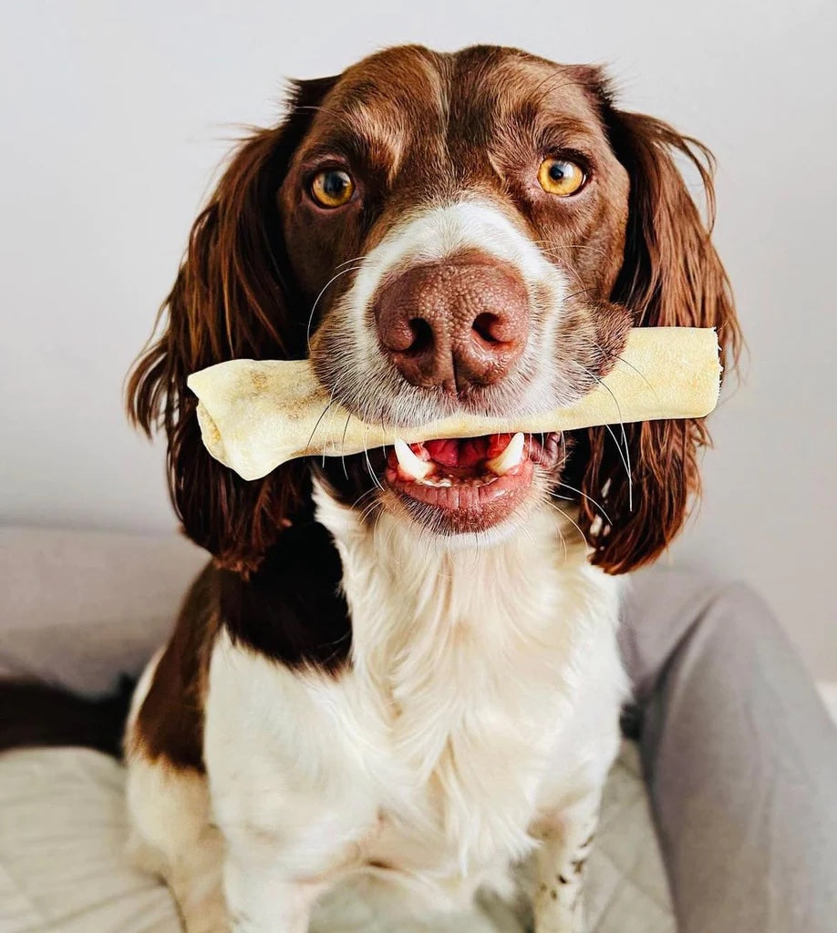 Treats and Toppers - PetBuddy