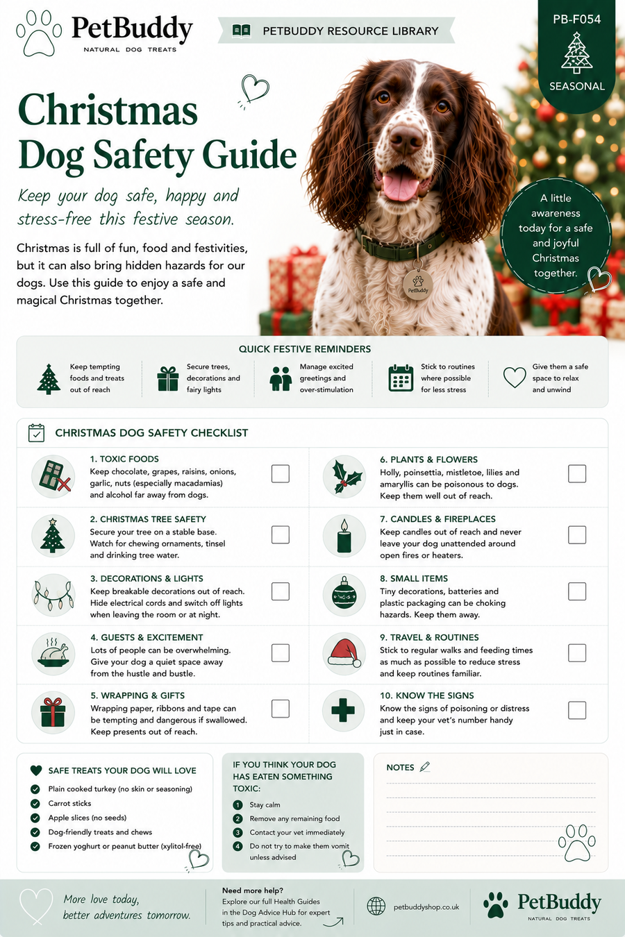 Christmas Dog Safety Guide