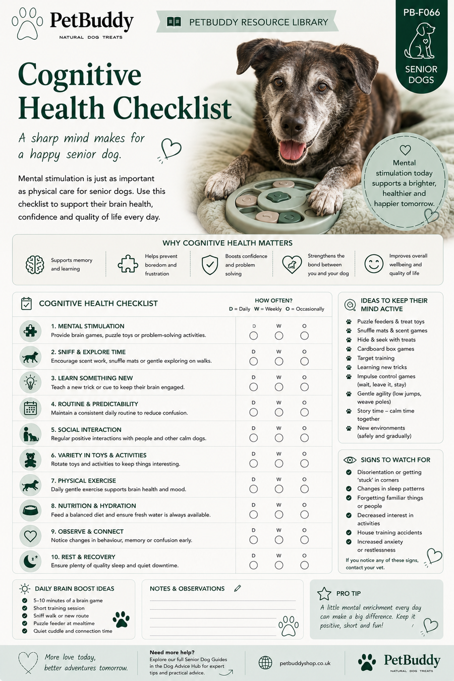 Cognitive Health Checklist