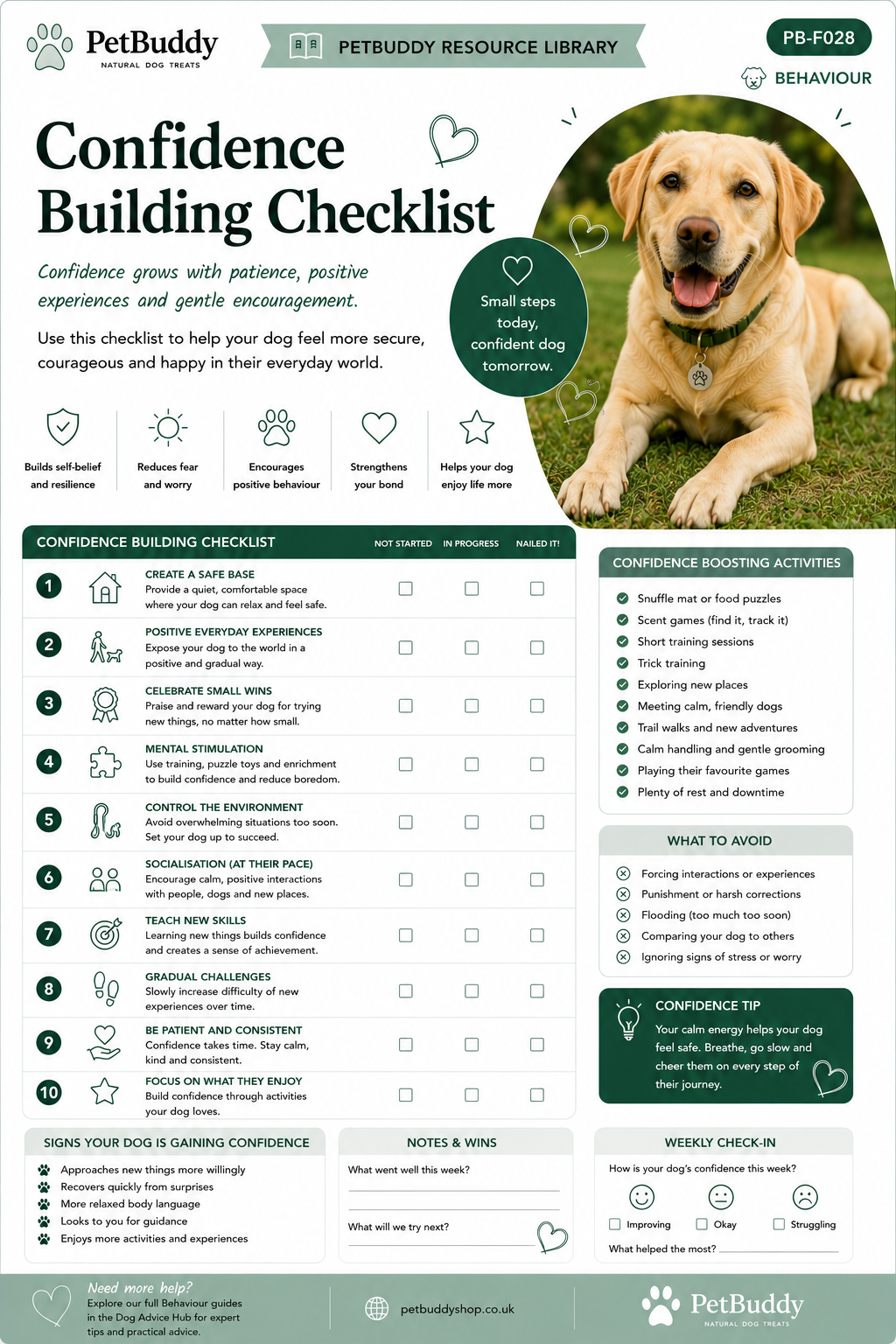 Confidence Building Checklist