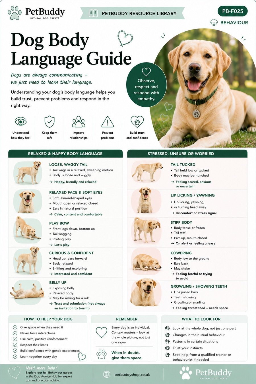 Dog Body Language Guide