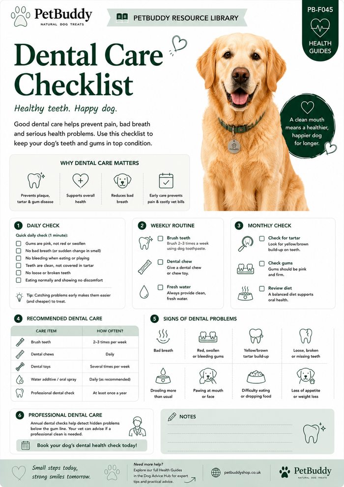 Dental Care Checklist
