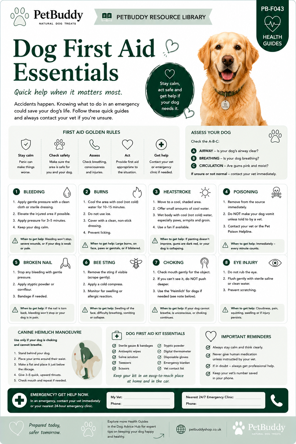 Dog First Aid Essentials