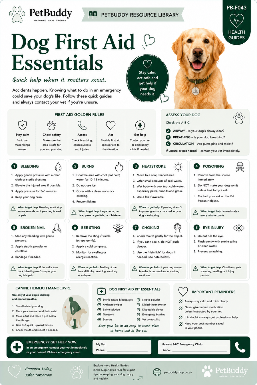 Dog First Aid Essentials