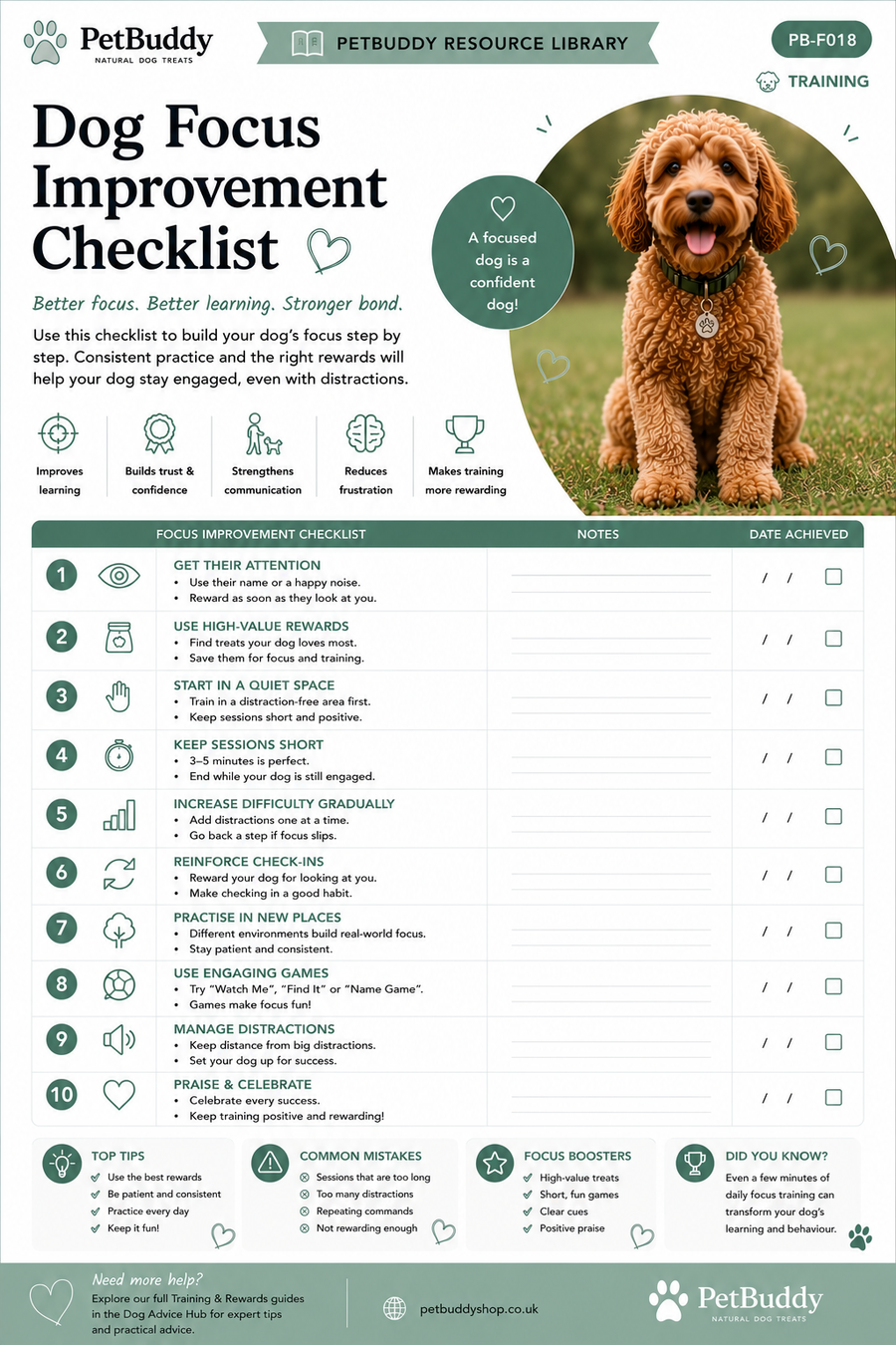 Dog Focus Improvement Checklist