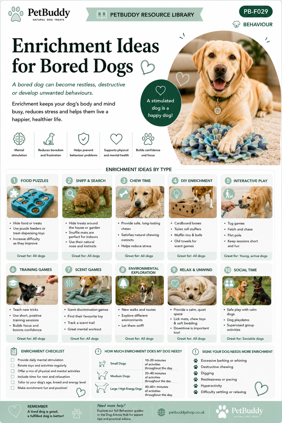 Enrichment Ideas for Bored Dogs