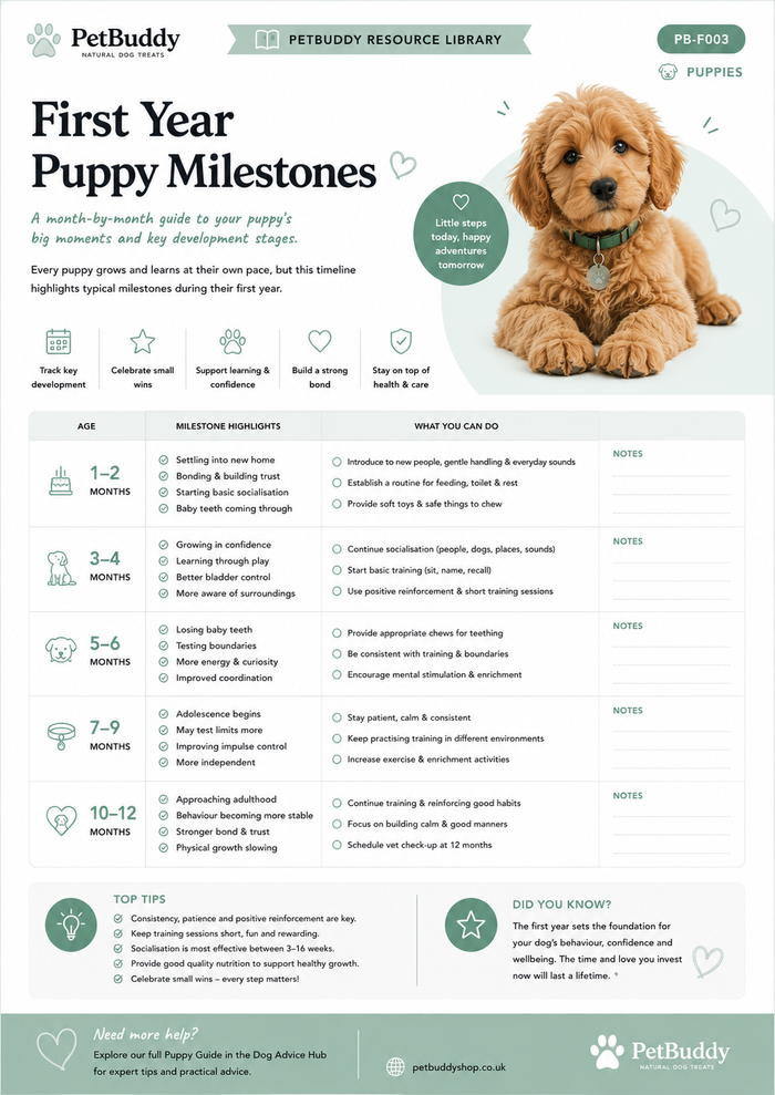 First Year Puppy Milestones