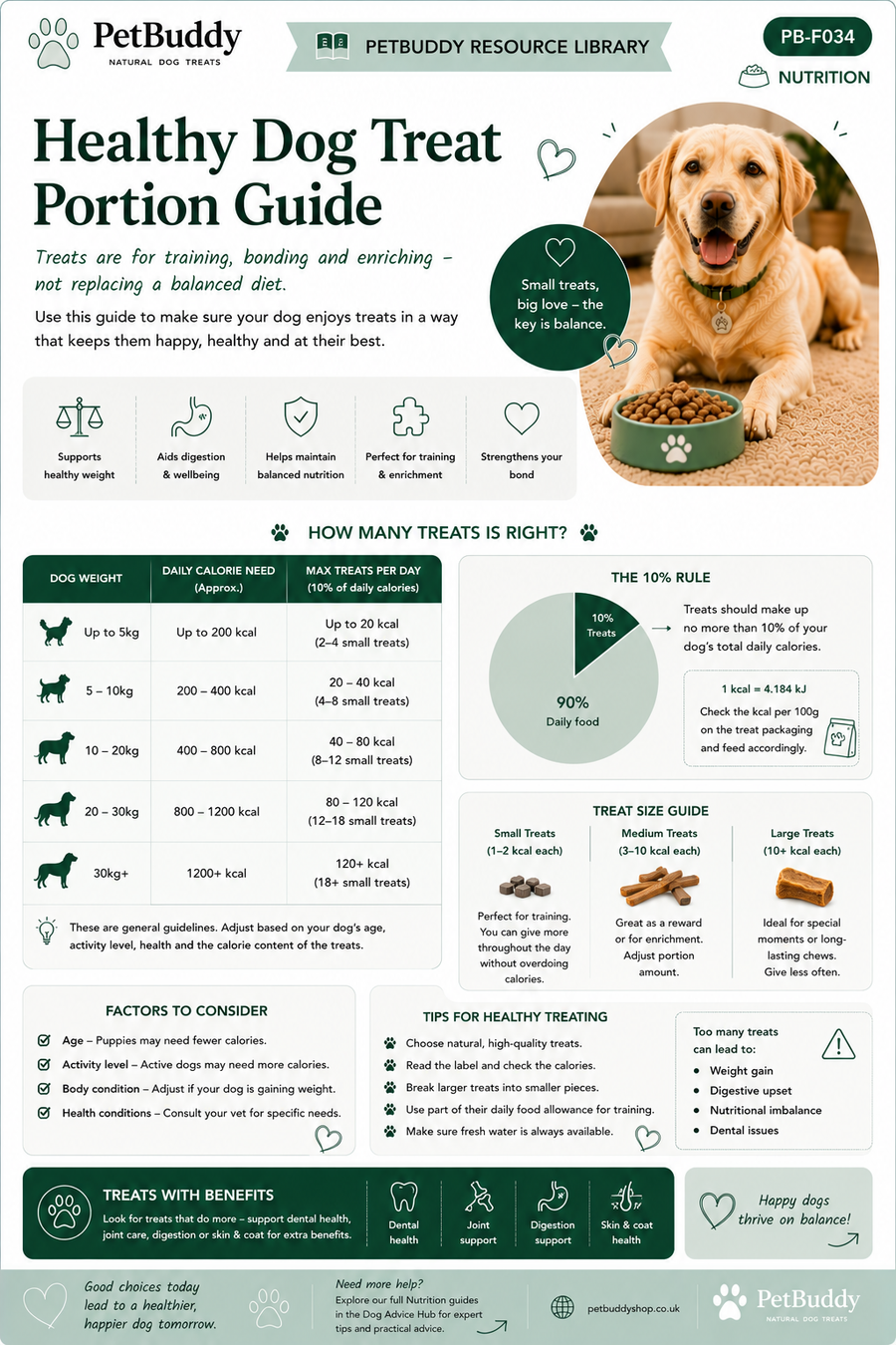 Healthy Dog Treat Portion Guide