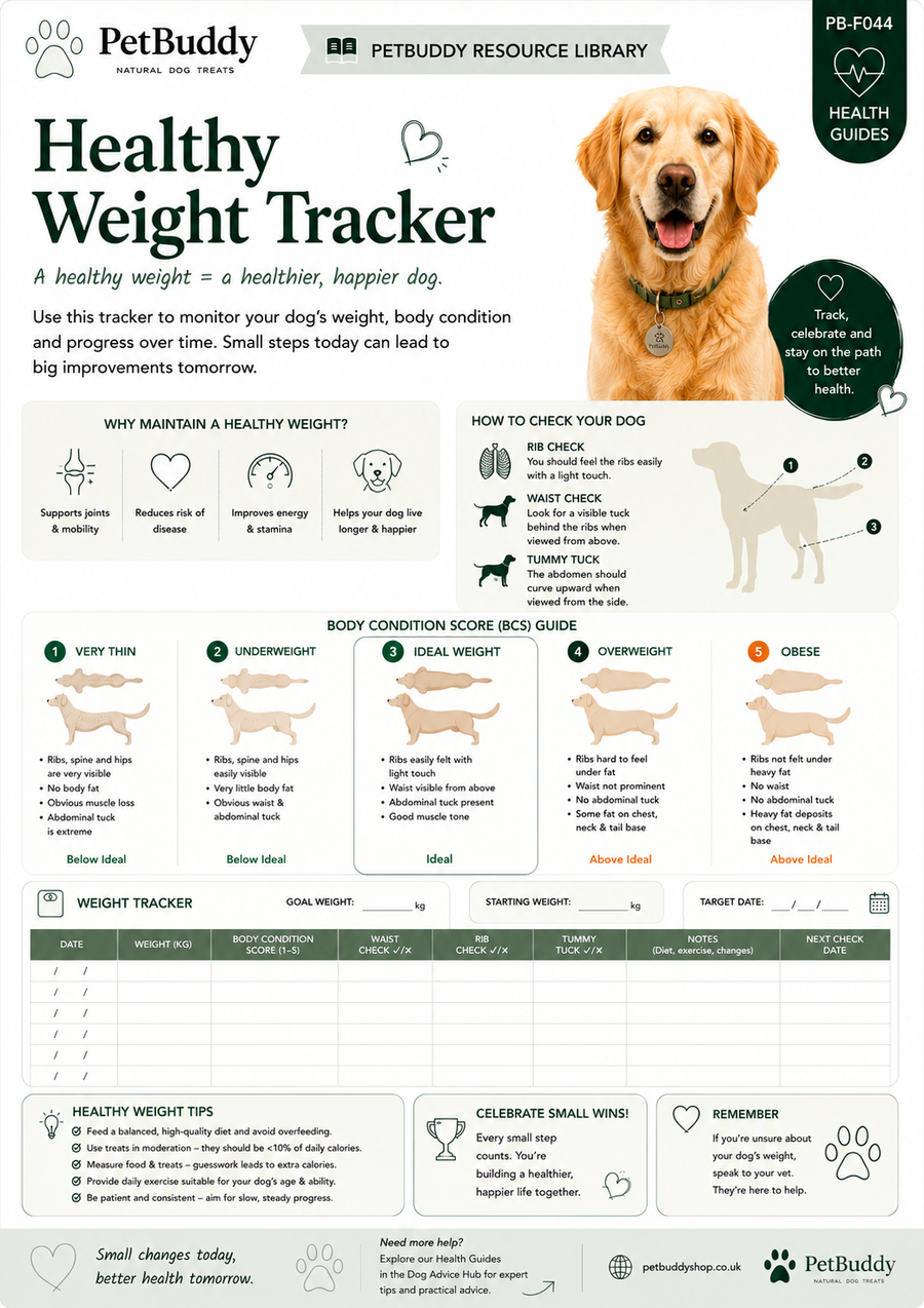 Healthy Weight Tracker