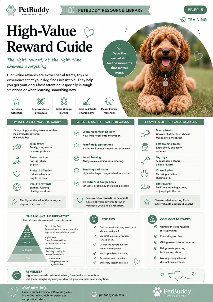 High-Value Reward Guide