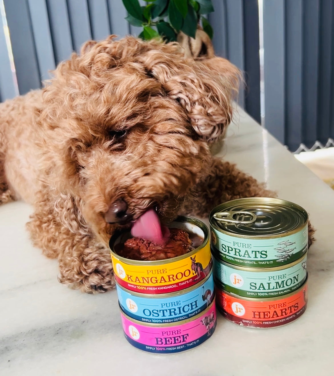 Natural Dog Food Toppers & Supplements.