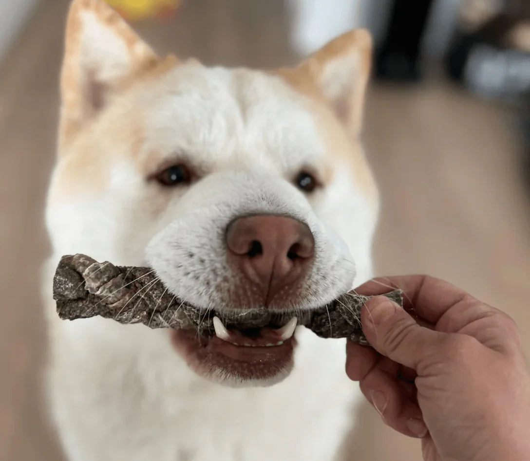 Low Fat Dog Treats