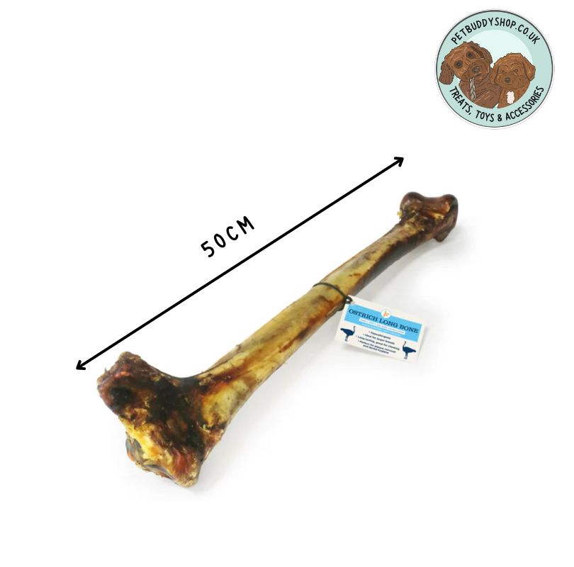 Large Ostrich Bone with an arrow measuring the bone reading 50CM. A white background and the PetBuddy logo in the top right hand corner.