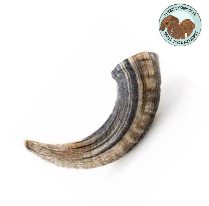 Lamb horn dog chew with the PetBuddy logo in the corner on a white background