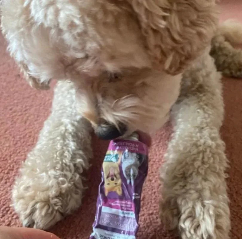 Fluffy white dog licking from a tube of Arden Grange Salmon Treat Paste held by a hand.