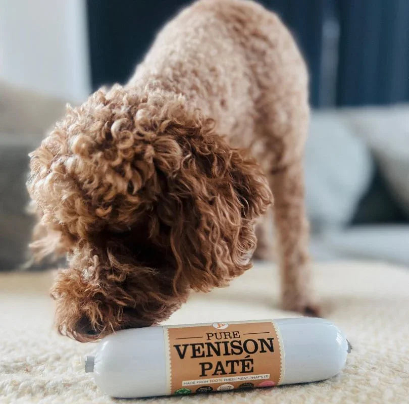 Small curly haired brown dog sniffing a JR Pet Products Venison Pate. 