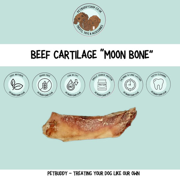 Premium Moon Bone (No actual bone)