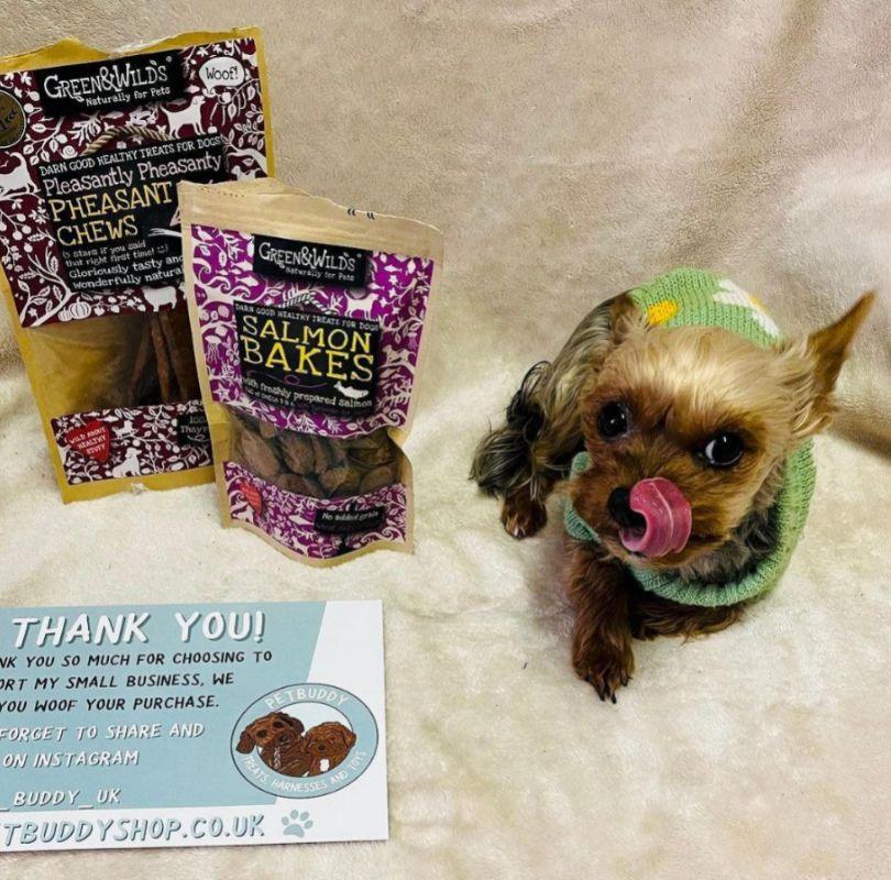 Green & Wilds Salmon Bakes dog treats, a great training treat full of omega 3&6, made with freshly prepared salmon, available at PetBuddy.