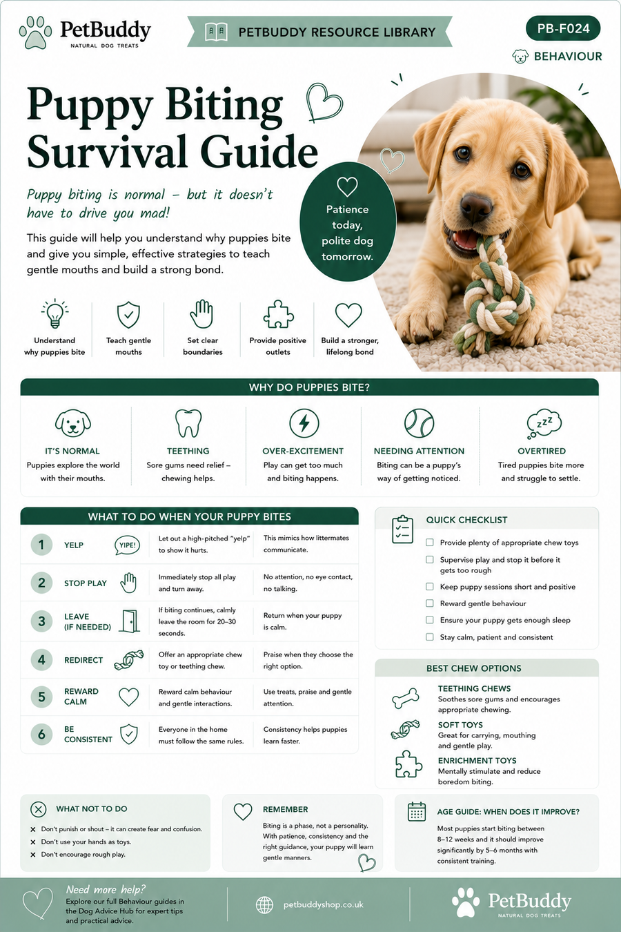 Puppy Biting Survival Guide