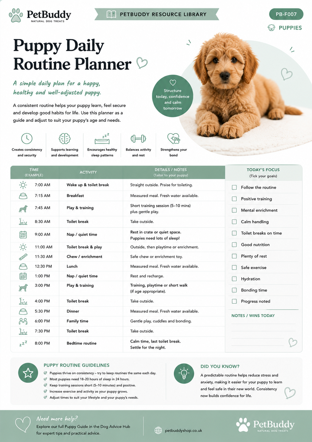 Puppy Routine Planner