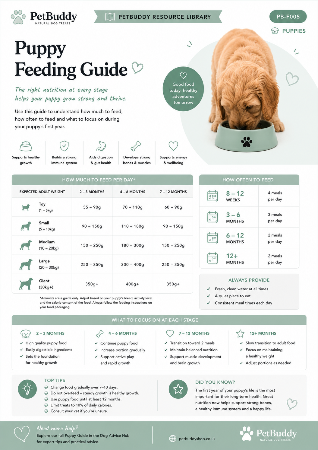Puppy Feeding Guide