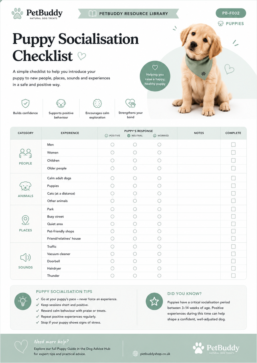 Puppy Socialisation Checklist 