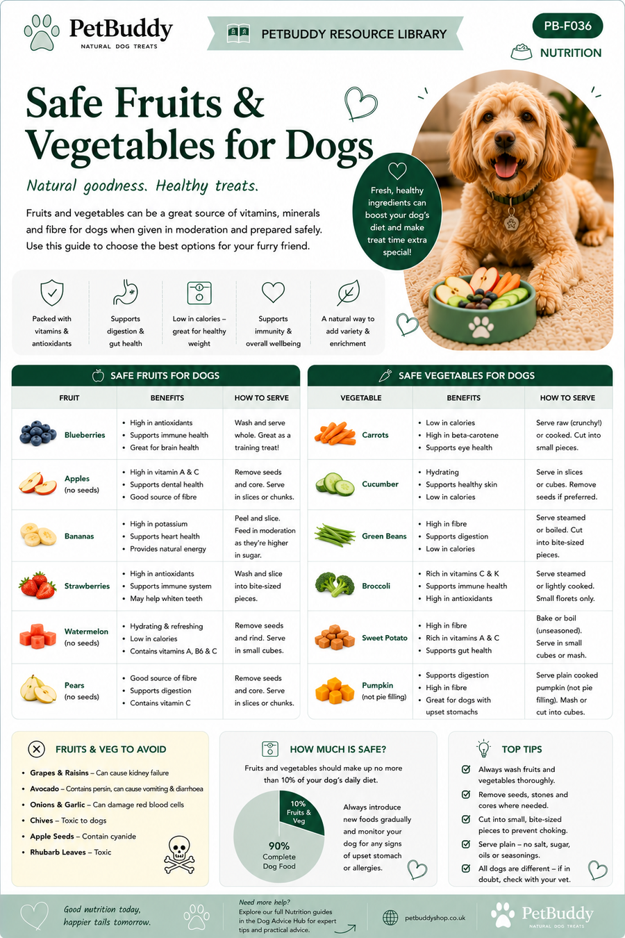 Safe Fruits & Vegetables for Dogs