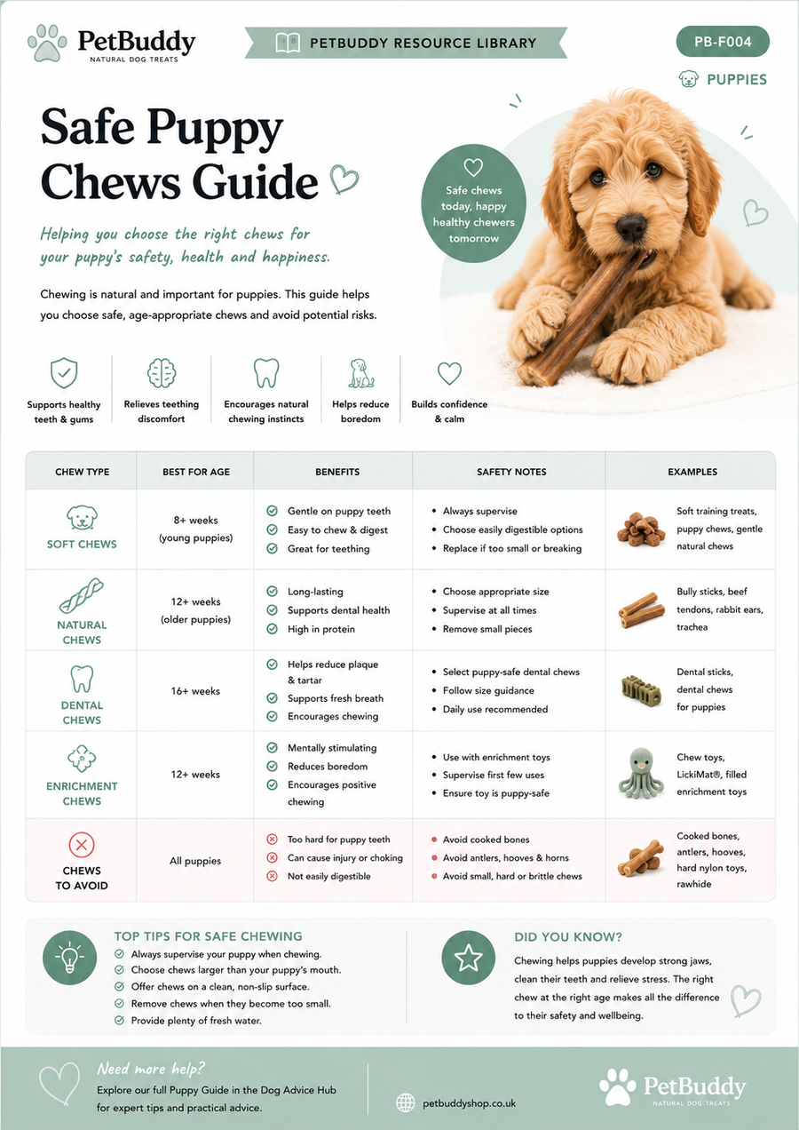 Safe Puppy Chews Guide
