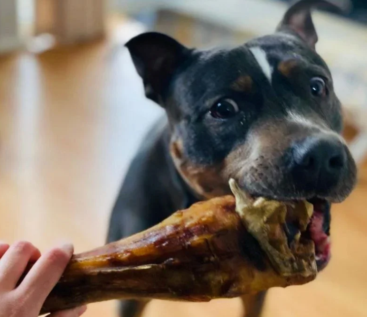 Extra Tough Dog Chews