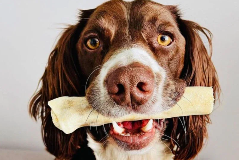 Duck Dog Treats