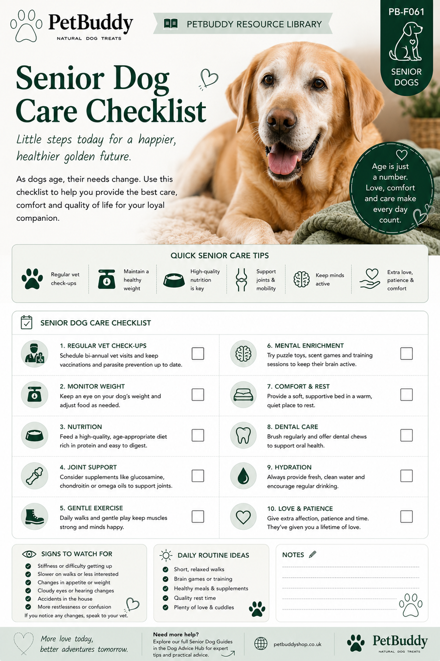 Senior Dog Care Checklist
