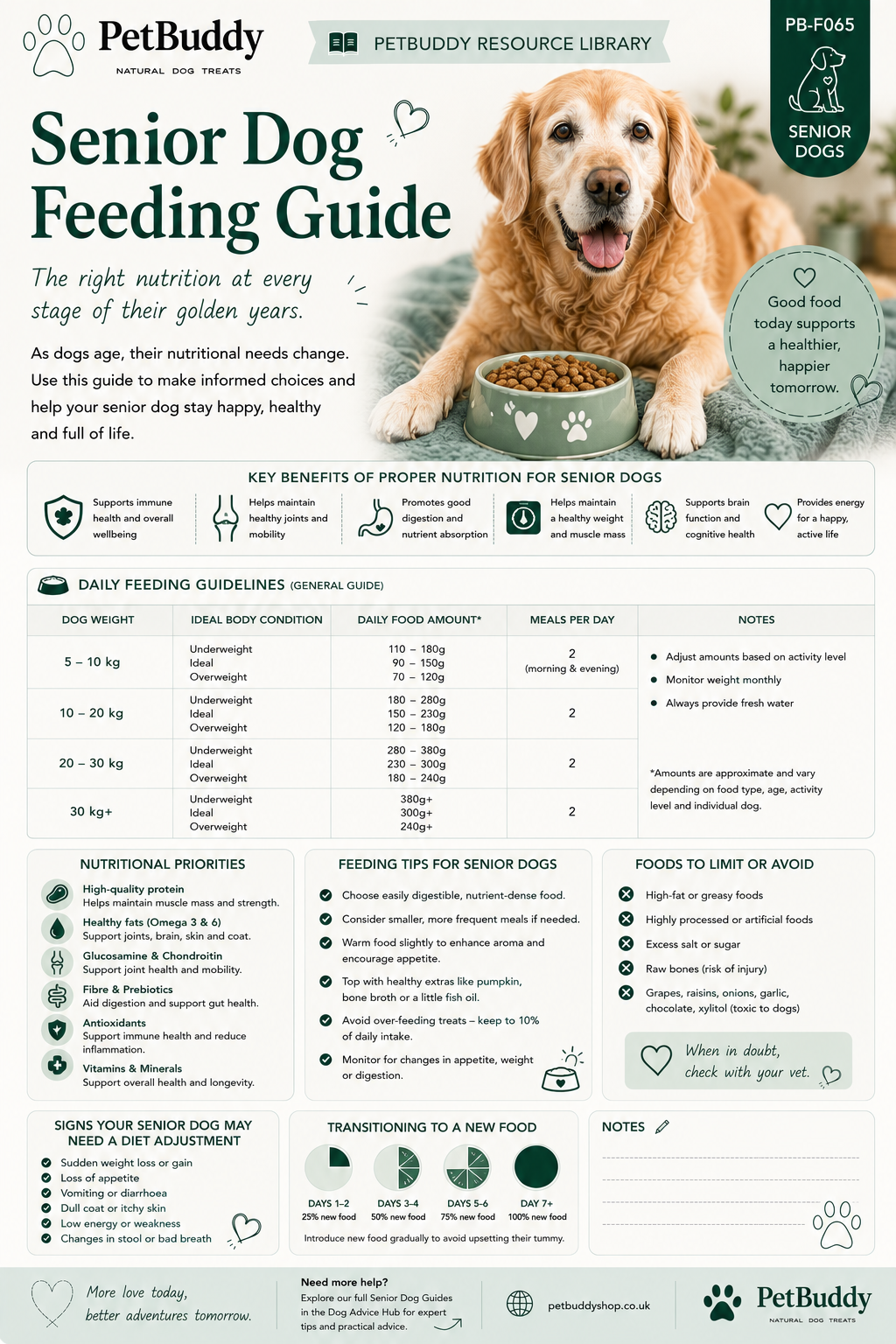 Senior Dog Feeding Guide