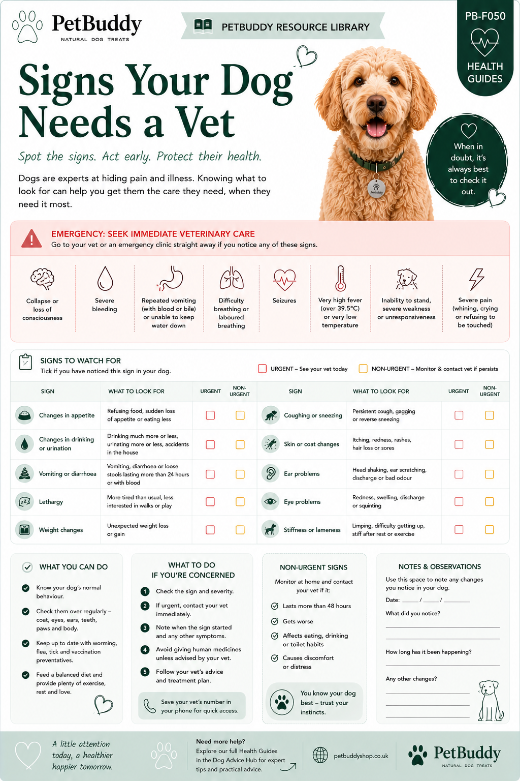 Signs Your Dog Needs a Vet
