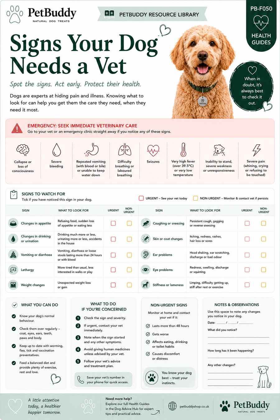 Signs Your Dog Needs a Vet