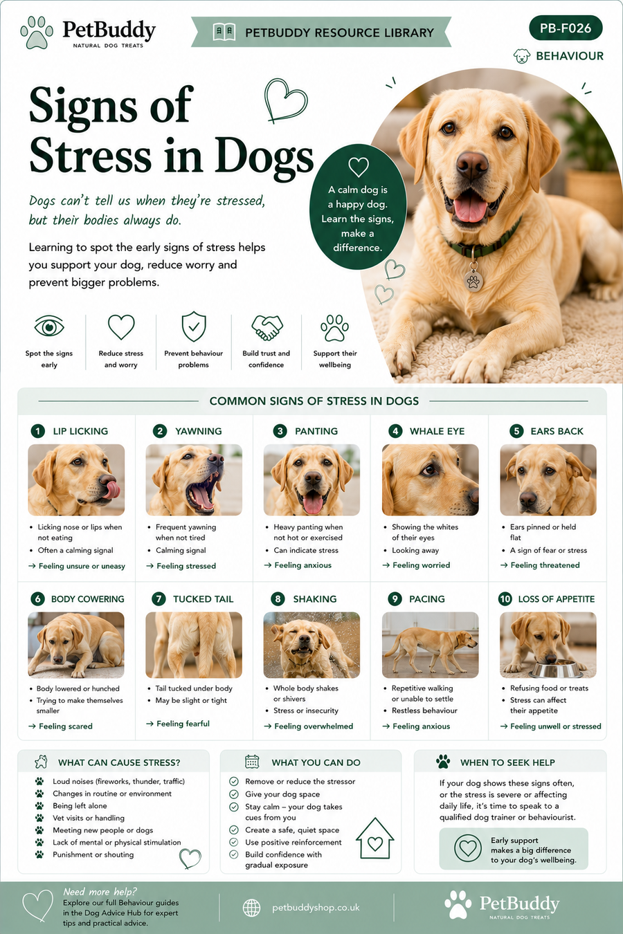 Signs of Stress in Dogs
