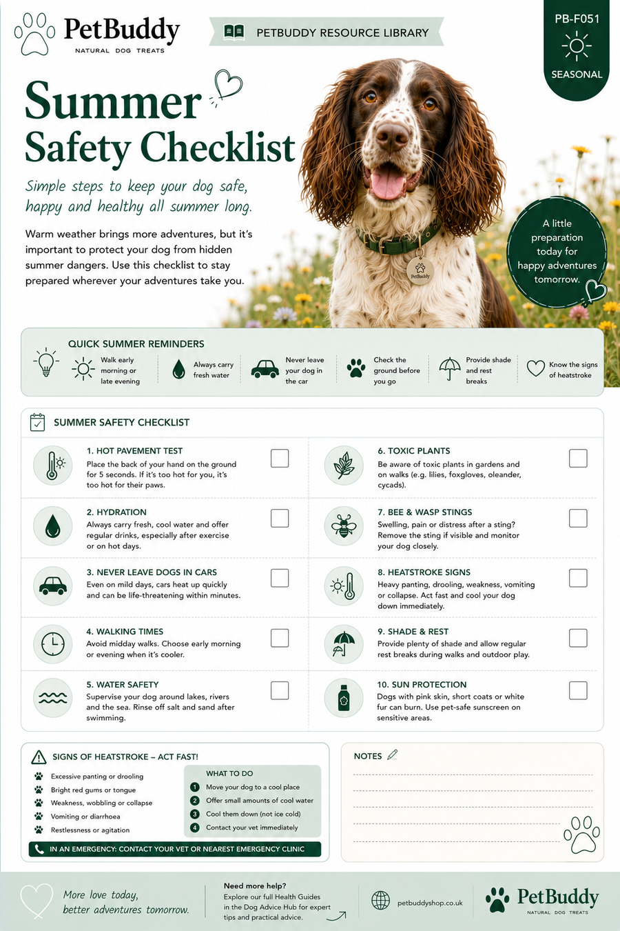 Summer Safety Checklist