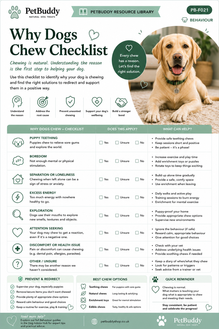 Why Dogs Chew Checklist