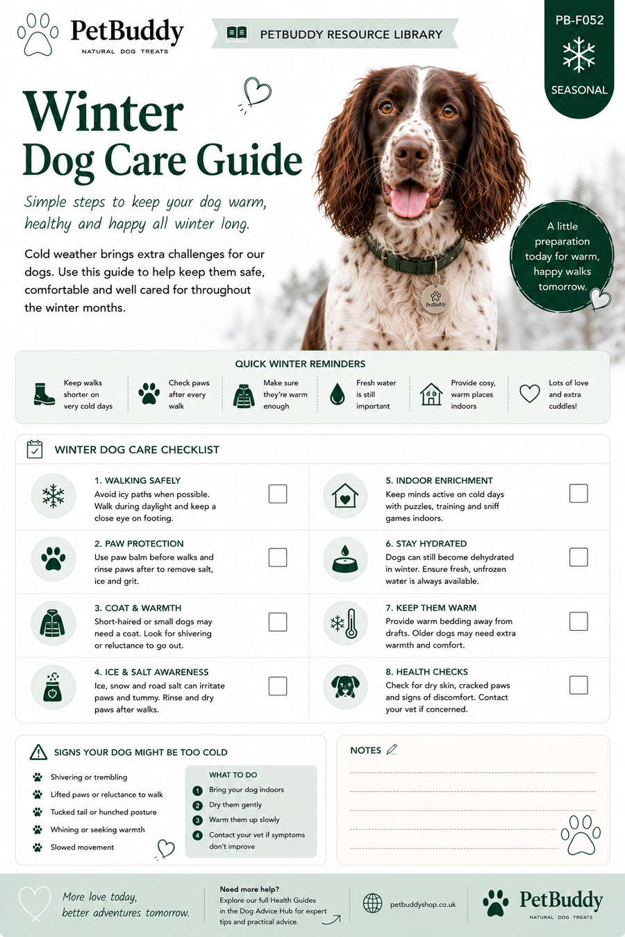 Winter Dog Care Guide