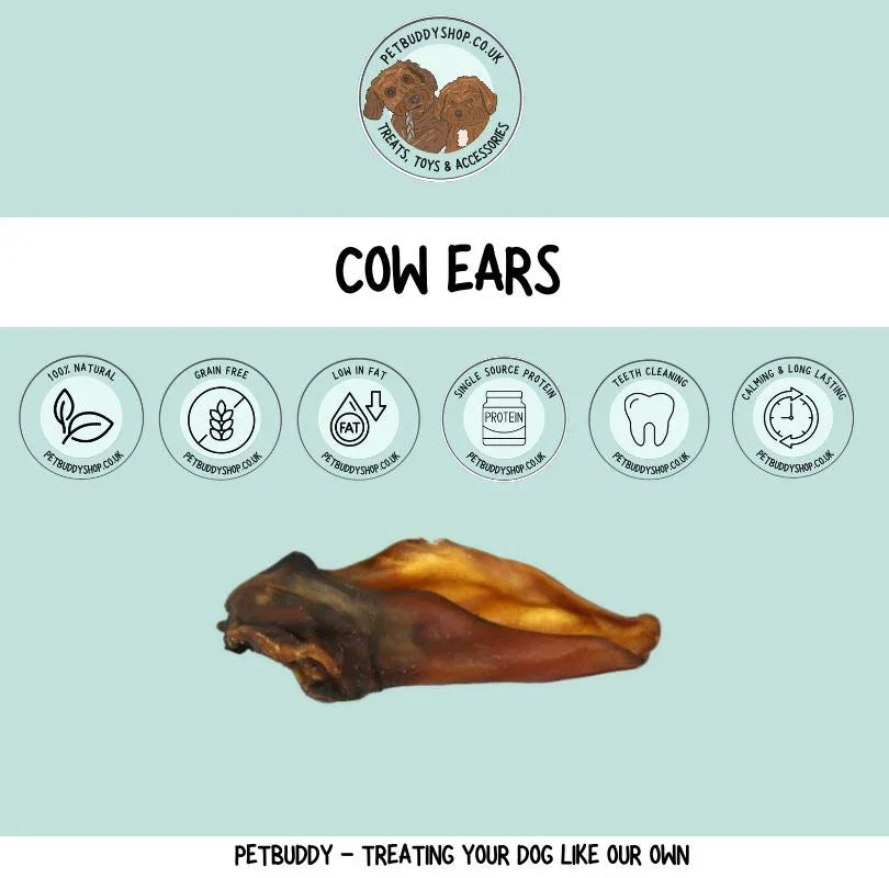 XL cow ear, a 100% long lasting natural dog treat

