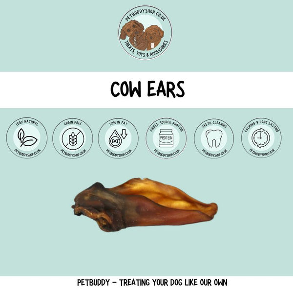 XL cow ear, a 100% long lasting natural dog treat
