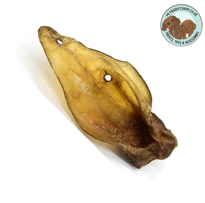 XL cow ear, a 100% natural dog treat, a perfect naturally air-dried, low odour, long lasting treat for dogs of all breeds and sizes. Available now from PetBuddy. 